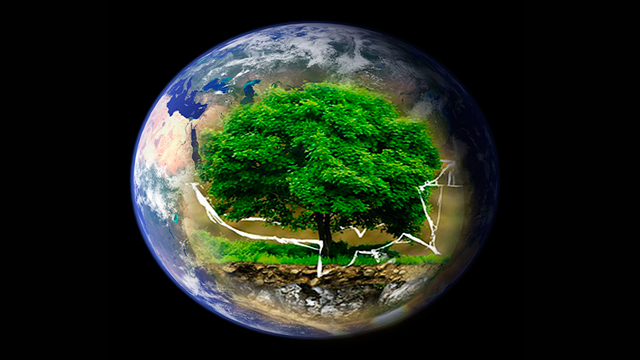 Día mundial del medio ambiente