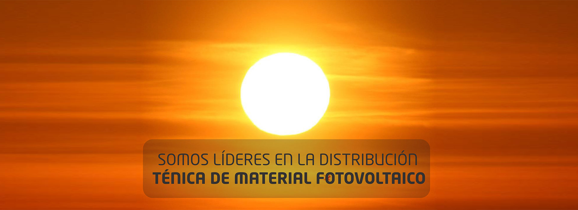 Aldis 77 Million Bet Solar Powers Big Impact Revealed - 9ujofxw